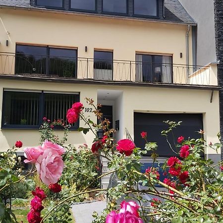 Ferienwohnung "Zum Klosterruinenblick" Kröv Esterno foto
