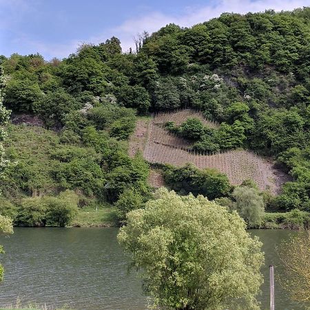 Ferienwohnung "Zum Klosterruinenblick" Kröv Esterno foto