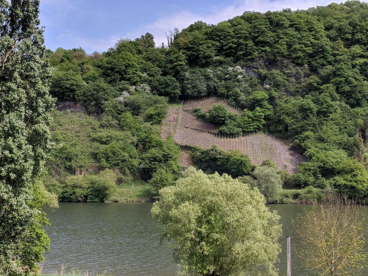 Ferienwohnung "Zum Klosterruinenblick" Kröv Esterno foto